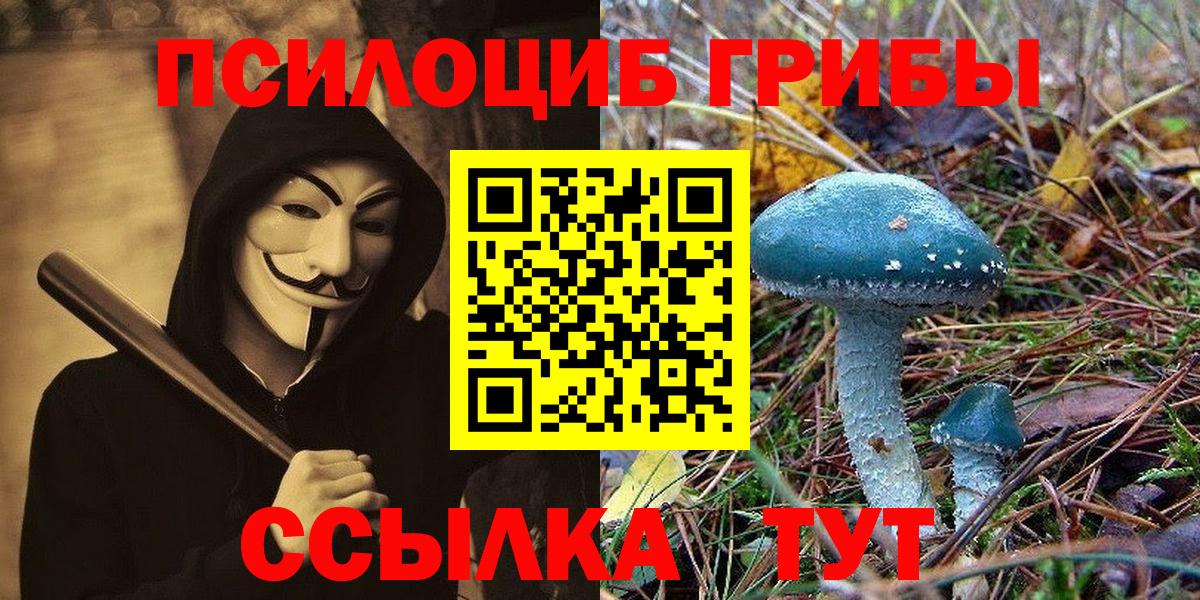 Псилоцибиновые грибы GOLDEN TEACHER  Вход с VPN  Назарово  Галлюциногенные грибы мухоморы 